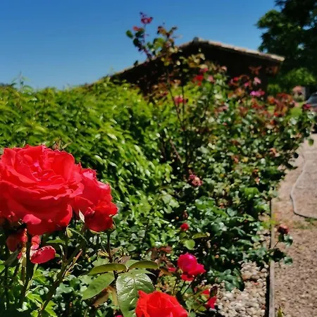 Ferienhaus Le Pressoir