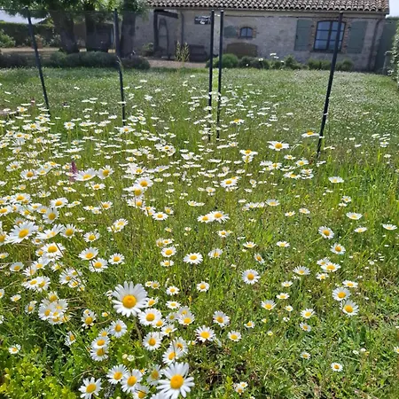 Le Pressoir * Cahuzac-sur-Vère