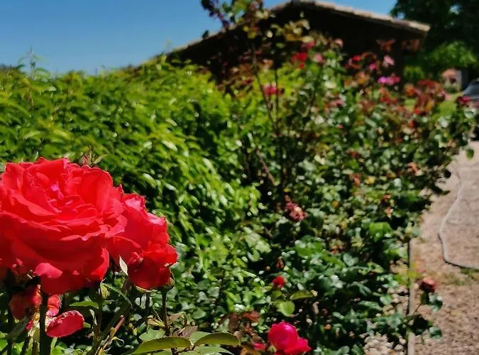 Vakantiehuis Le Pressoir